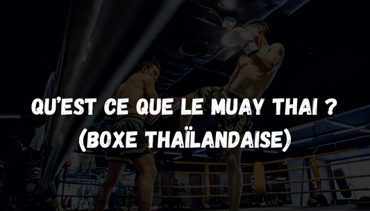 Qu'est ce que le Muay Thai ?